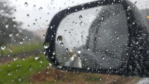 shutterstock_1924215905