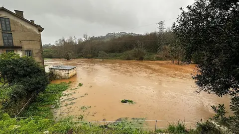 WhatsApp Image 2023-01-16 at 13.28.38