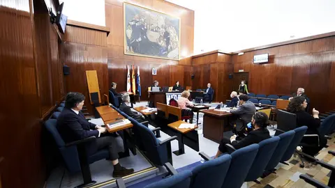 30/04/2020  SANTANDER
ep pleno de Ayto Santander 

Alberto Torres Briz

FOTO: JUAN MANUEL SERRANO ARCE
