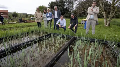 11:00 horas. B&ordm; La Haza, Revilla de Camargo
El consejero de Desarrollo Rural, Ganader&iacute;a, Pesca, Alimentaci&oacute;n y Medio Ambiente, Guillermo Blanco, visita el proyecto de investigaci&oacute;n ambiental Plan RIALAB.
