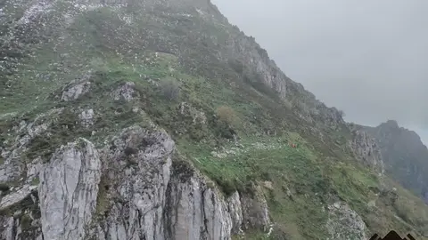 Made with LogoLicious Add Your Logo App