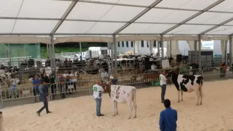 Captura de Pantalla 2023-06-09 a las 12.59.18