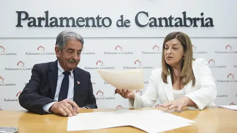 EuropaPress_5274806_La_presidenta_del_Partido_Popular_de_Cantabria_Ma