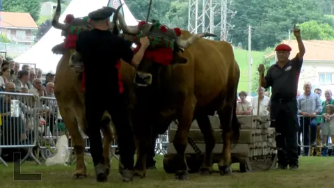 Captura de pantalla 2023-06-18 a las 18.32.06