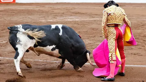 3&ordm;Ortega&ordm;&ordm;