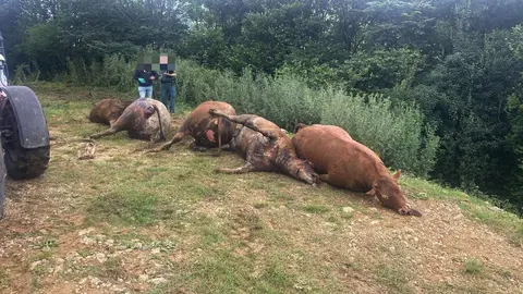 WhatsApp Image 2023-07-30 at 20.46.21