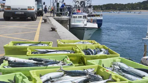 San Vicente de la Barquera (Cantabria)
25/04/2023

Photo: Cesar Ortiz Gonzalez

Buscan a un pescador de un barco gallego desaparecido al caer al mar en San Vicente de la Barquera