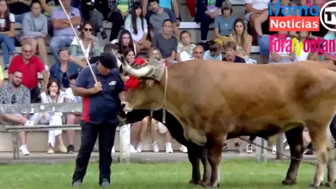 Captura de Pantalla 2023-08-13 a las 20.00.46