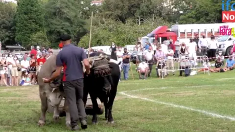 Captura de pantalla 2023-08-19 a las 15.19.27