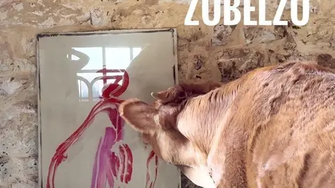 Fotografías de Rosana Marcos