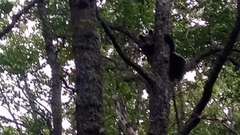 Captura de pantalla 2023-09-07 a las 9.14.35