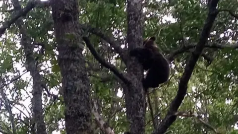 Captura de Pantalla 2023-09-07 a las 18.01.24