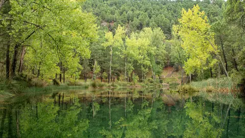 Oto&ntilde;o en la Sierra del Segura, presa de Arroyo Frio, Albacete, Castilla La Mancha