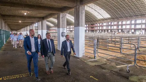 11:15 horas. Torrelavega. Frente al antiguo Ayuntamiento 
El consejero de Fomento, Roberto Media, informa, en declaraciones a los medios de comunicaci&oacute;n, de la visita institucional al municipio.
 11 OCTUBRE 2023 &nbsp;&copy; Oficina de comunicaci&oacute;n 