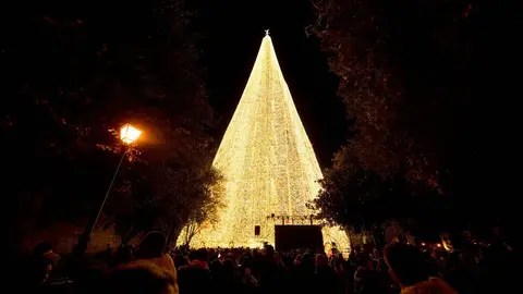 5/12/23  SANTANDER
arbol de navidad 



FOTO: Juan Manuel Serrano Arce