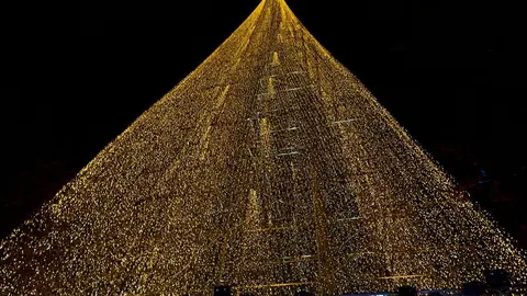 5/12/23  SANTANDER
arbol de navidad 



FOTO: Juan Manuel Serrano Arce