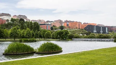 DAVID S. BUSTAMANTE 11/05/2018 SANTANDER/ CANTABRIA Campus universitario de la Universidad de Cantabria UC desde el parque de Las Llamas