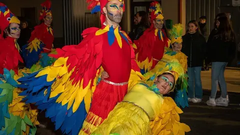 Carnaval Renedo 24-30