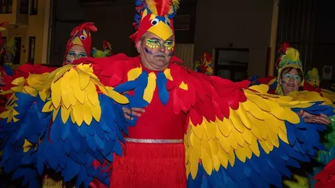 Carnaval Renedo 24-32