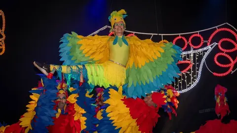 Carnaval Renedo 24-107