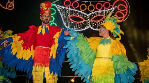 Carnaval Renedo 24-108