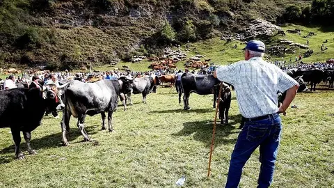 Prado Socollo, Puentenansa, Rionansa 
	El presidente de Cantabria, Miguel &Aacute;ngel Revilla, acompa&ntilde;ado del consejero de Presidencia y Justicia, Rafael de la Sierra, asiste a la Feria de San Miguel. 

29 sep 17