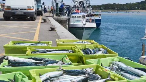 San Vicente de la Barquera (Cantabria)
25/04/2023

Photo: Cesar Ortiz Gonzalez

Buscan a un pescador de un barco gallego desaparecido al caer al mar en San Vicente de la Barquera