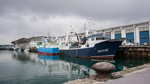 Pesca Pescadores Puerto Barrio Pesquero Lonja Barco
