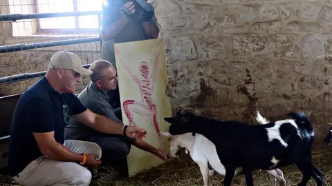 TVE se interesó por la iniciativa de este concurso de cortos