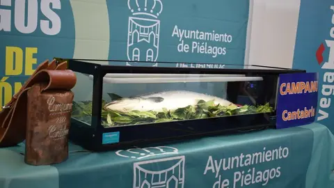 ARCHIVO CAMPANU CANTABRIA 2022