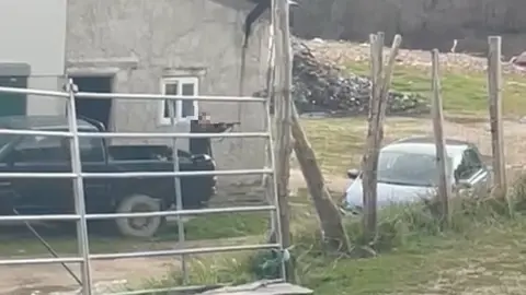 Captura de pantalla 2024-04-04 a las 15.13.31