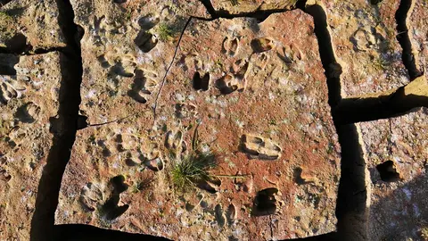 Los restos del antiguo pueblo de Pe&ntilde;arubia han quedado al descubierto por la ausencia de agua en el embalse de Guadalteba a causa de la extrema sequ&iacute;a a 3 de febrero de 2024 en M&aacute;laga, Andaluc&iacute;a.//&Aacute;lex Zea.