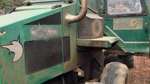 Imagen de WhatsApp 2024-07-05 a las 12.41.17_f1b02ced