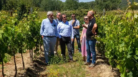 13:00 horas. Cames&iacute;a Bodega del Alto Ebro. Polientes, Valderredible

El consejero de Desarrollo Rural, Ganader&iacute;a, Pesca y Alimentaci&oacute;n, Pablo Palencia, realiza una visita institucional a la bodega Cames&iacute;a Bodega del Alto Ebro. 8 JULIO 2024 &copy;&nbsp;Miguel De la Parra