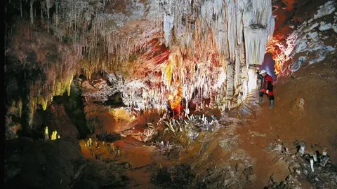 Vista aprcial de la sala de La Cloliflor 30 MAYO 2013 &copy; Gabinete de prensa 30 MAYO 2013