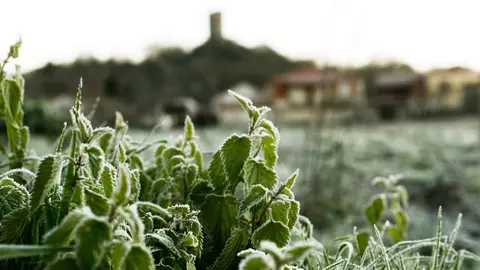 HELADAS EN LA COMARCA DE A LIMIA (PROVINCIA DE OURENSE). 24/01/23. FOTO ROSA VEIGA