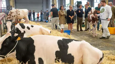 Mercado Nacional de Ganados. Torrelavega

El consejero de Desarrollo Rural, Ganader&iacute;a, Pesca y Alimentaci&oacute;n, Pablo Palencia, asiste al XXVIII Memorial Jos&eacute; Ruiz Ruiz
NR &copy;
7 SEP 24