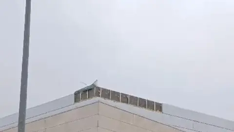 Captura de pantalla 2024-10-09 a las 13.18.08