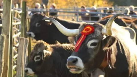 Captura de pantalla 2024-10-11 a las 22.28.59