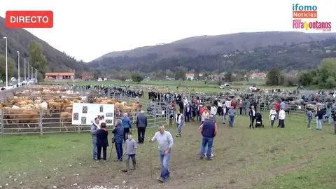 Captura de pantalla 2024-10-22 a las 13.19.10