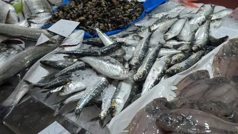 A CORU&Ntilde;A.
Sardinas a la venta mercado de la plaza de Lugo con motivo de la fiesta de San Juan
22/06/2023
Foto: M. Dylan/Europa Press