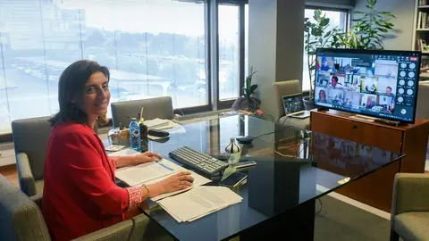 A conselleira de Medio Ambiente e Cambio Clim&aacute;tico,&Aacute;ngeles V&aacute;zquez, participa, de xeito telem&aacute;tico, no pleno da Conferencia Sectorial de Medio Ambiente.