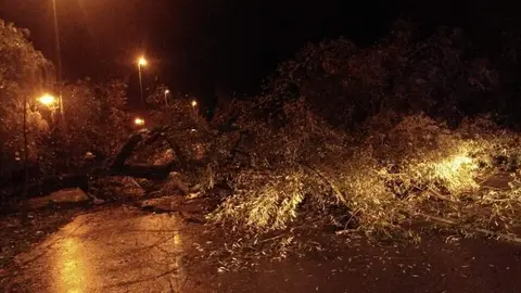 WhatsApp Image 2024-12-09 at 07.21.50