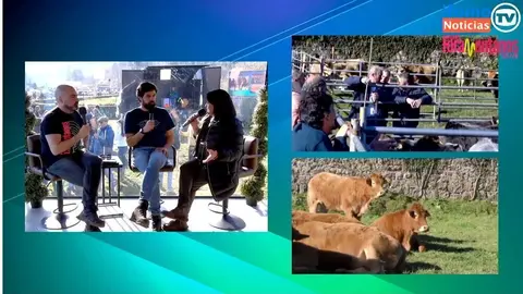 Captura de pantalla 2025-01-18 a las 22.45.50