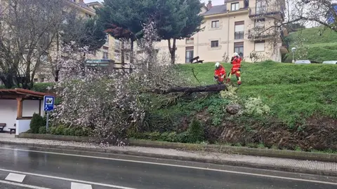Captura de pantalla 2025-01-30 a las 20.11.27