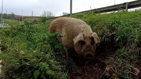 475658824_919078933748909_7399598815734889709_n