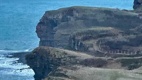 Imagen de WhatsApp 2025-02-06 a las 18.49.53_19393ff3