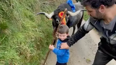 Captura de pantalla 2025-02-11 a las 19.25.16