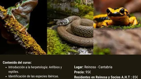 Curso Herpetolog&iacute;a