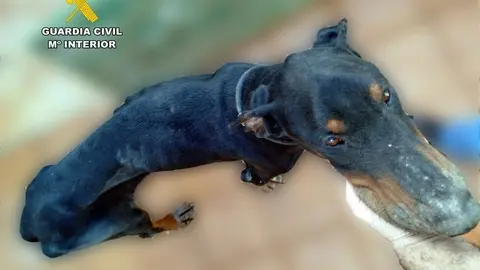 Imagen de WhatsApp 2025-03-12 a las 11.53.03_69403b1b